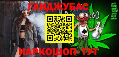 шишки Донской