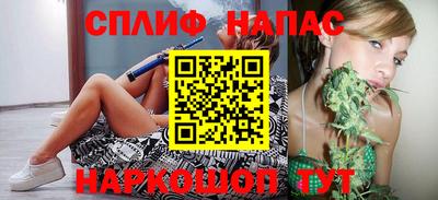шишки Донской