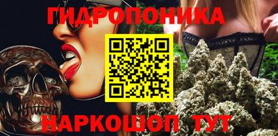 шишки Донской