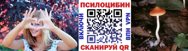 Псилоцибиновые грибы мицелий Саранск