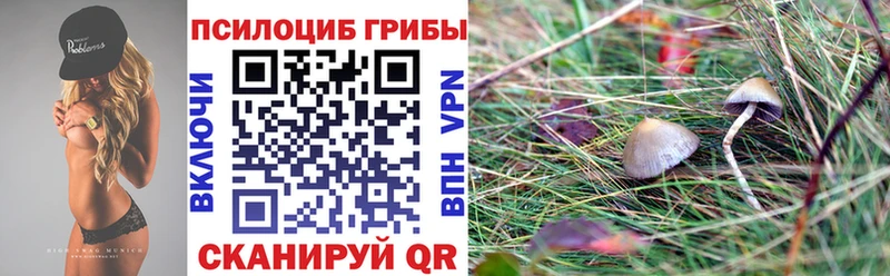мориарти телеграм  Саранск  Галлюциногенные грибы ЛСД 