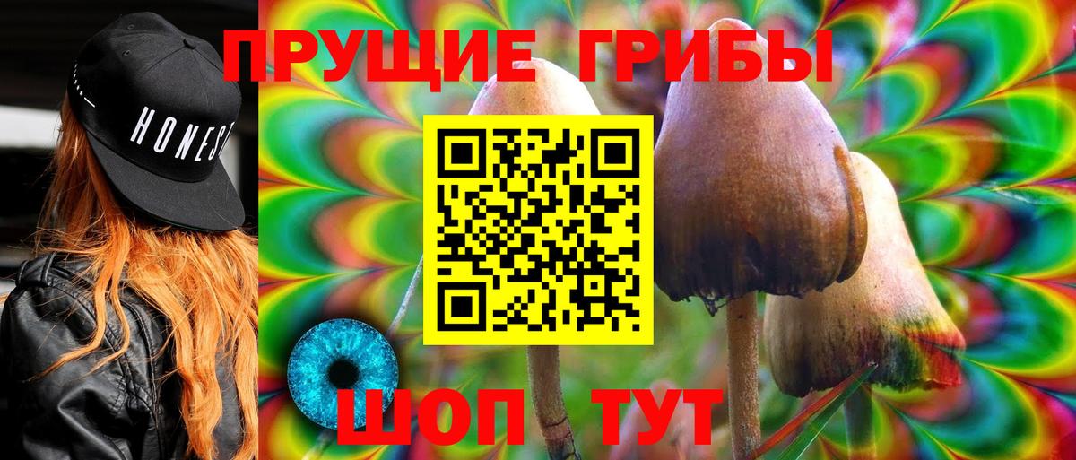 Псилоцибиновые грибы мицелий Саранск