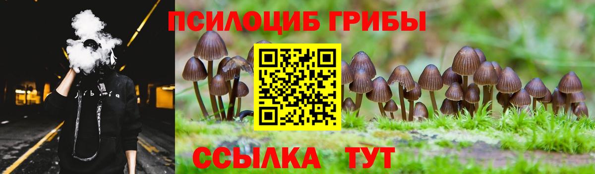 Саранск  Псилоцибиновые грибы GOLDEN TEACHER  Вход с VPN  Галлюциногенные грибы Psilocybe 